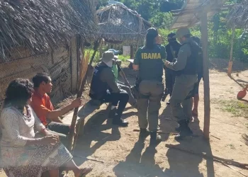 A visita do MPF contou com o apoio conjunto do Ibama, Funai e da Força Nacional (Divulgação/MPF)