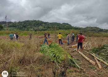 Foto: Reprodução das Redes Sociais