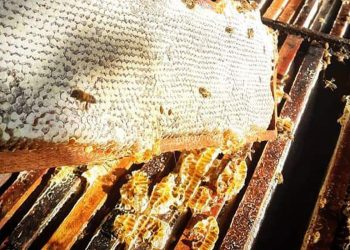 Foto: Agência Brasil