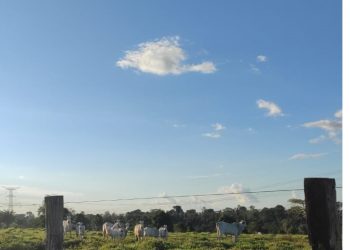 Foto: Thaís Portela