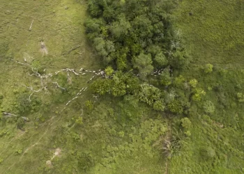 Foto: Divulgação / Fundação Solidaridad