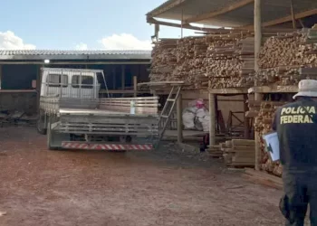 Foto: Polícia Federal/Divulgação