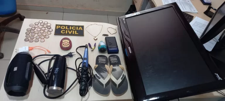 Objetos furtados já foram entregues às vítimas — Foto: PC Rurópolis/Divulgação
