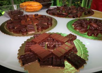 Foto: Wilson Soares / A Voz do Xingu