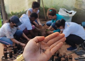 Foto: Eco Xingu / Divulgação