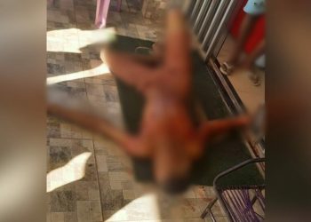 (Foto: Reprodução / Redes Sociais )