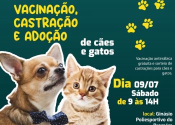 MP realiza campanha de vacinação, castração e adoção de cães e gatos em Altamira