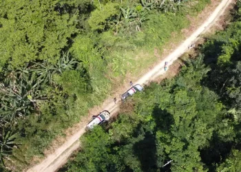 Policiais na área que está sendo analisada pela suspeita de desmatamento e extração ilegal de madeira — Foto: Polícia Civil