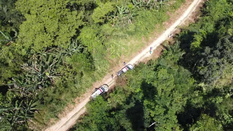 Policiais na área que está sendo analisada pela suspeita de desmatamento e extração ilegal de madeira — Foto: Polícia Civil