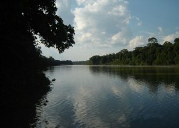 Justiça Federal ordena que ICMBio instale área de proteção ambiental criada há 16 anos no PA