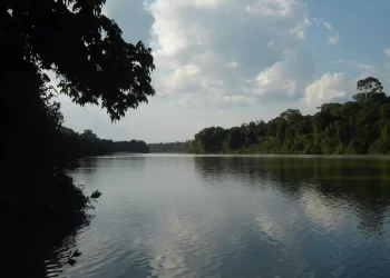 Foto: Instituto de Pesquisa Ambiental da Amazônia