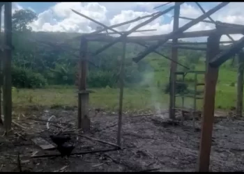 Foto: Amazônia Real/Reprodução