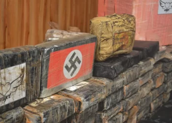 Foto: Reprodução / PF-PA