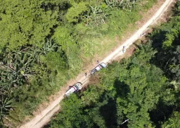 Foto: Polícia Civil