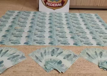 Cédulas apreendidas pela PF (Divulgação PF)