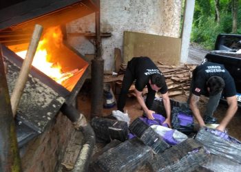 Polícia Civil incinera uma tonelada de drogas em Bragança, no Pará