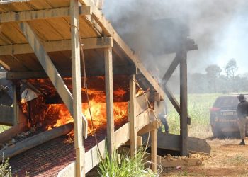 PF retira madeireiros, pecuaristas e grileiros de Terra Indígena Trincheira Bacajá, no Pará