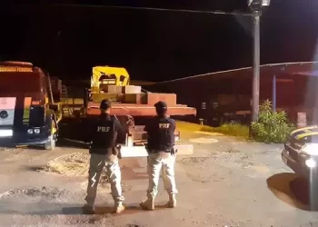 Madeira apreendida durante fiscalização (Divulgação/PRF)