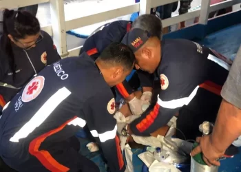 Foto: Paulo Ricardo/Divulgação