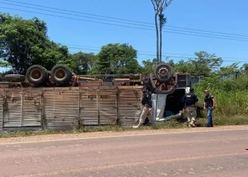Carreta carregada com castanhas do Pará tomba nas margens da BR-163 em Santarém — Foto: Ulisses Farias/TV Tapajós