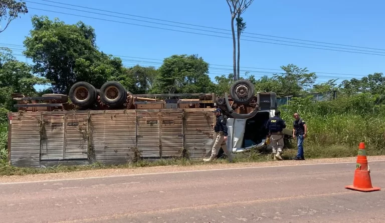Carreta carregada com castanhas do Pará tomba nas margens da BR-163 em Santarém — Foto: Ulisses Farias/TV Tapajós