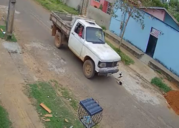 Vídeo: motorista de caminhonete atropela cachorro de propósito em Altamira, no Pará