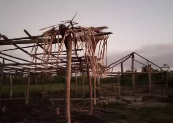 Foto: Reprodução / Redes sociais