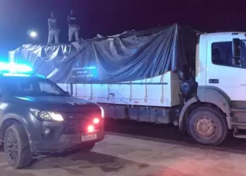 Caminhão e carga foram apreendidos e encaminhados à delegacia (PRF