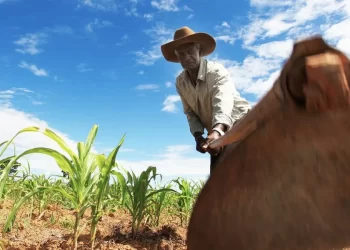 Foto: CGU/Divulgação