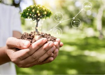 Olimpíada Nacional de Eficiência Energética abre inscrições para professores e estudantes do 8º e 9º ano