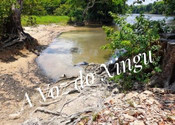 Foto: Thaís Portela