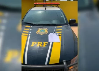 PRF de Santarém prende homem com mandado de prisão em aberto por homicídio ePRF de Santarém prende homem com mandado de prisão em aberto por homicídio em Roraima — Foto: PRFm Roraima — Foto: PRF