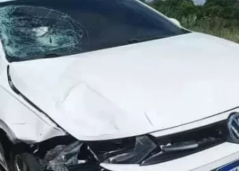 O condutor se apresentou espontaneamente à polícia (Reprodução / Jornal do Pará)