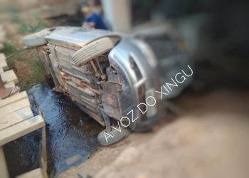 Foto: Thaís Portela