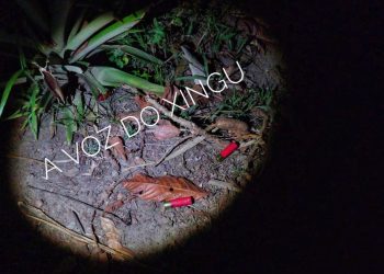 Jovem de 27 anos, é assassinada a tiros na zona rural de Anapu, no Pará