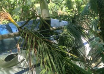 Foto: Reprodução das Redes Sociais