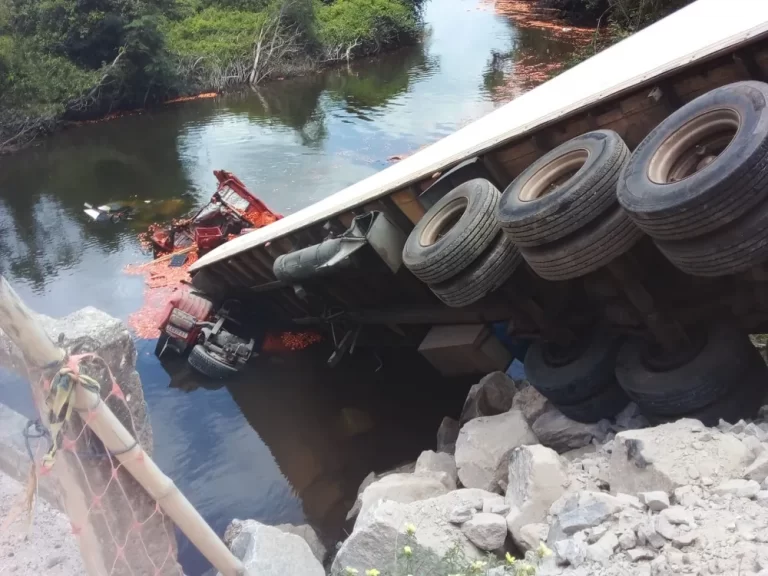 Caminhão carregado de tomate cai na cabeceira do rio Caeté — Foto: Reprodução
