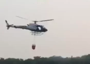 O trabalho contou com o apoio de 12 bombeiros do grupamento do Pará e também do estado de Mato Grosso. (Divulgação / Segup)