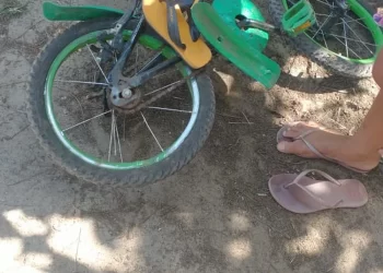 Menino de cinco anos morre após ser atropelado por carreta no interior do Pará — Foto: Reprodução