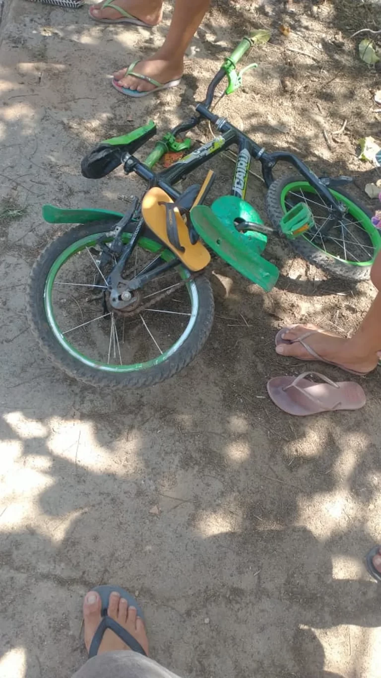 Menino de cinco anos morre após ser atropelado por carreta no interior do Pará — Foto: Reprodução