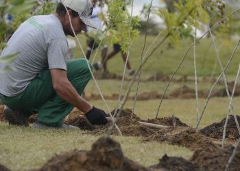 Foto: Tânia Rego/Agência Brasil