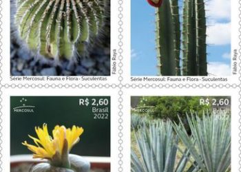 Foto: Divulgação Correios