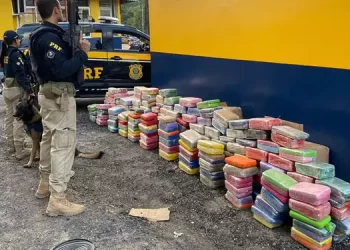 Foto: Divulgação / PRF