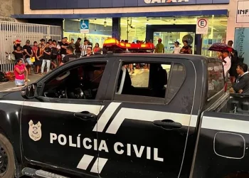 Ação prendeu nove pessoas em flagrante, em Cametá, no nordeste do Pará — Foto: Agência Pará