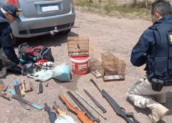 Além dos animais e material de caça, grupo também levava quantia de R$ 1.790. (Divulgação / PRF)