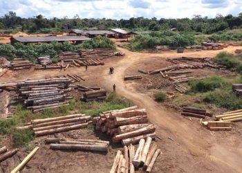 Foto: Divulgação TV Brasil