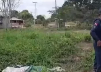 Os peritos criminais da Polícia Científica do Pará (PCP) suspeitaram que Josué também tenha sido agredido a pauladas. (Reprodução / Blog do Pião