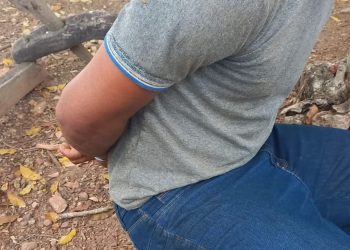 Foto: PC/Brasil Novo