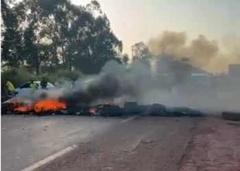 Manifestantes bloqueiam BR-010 em Dom Eliseu no Pará em protesto contra resultado das eleições — Foto: Reprodução