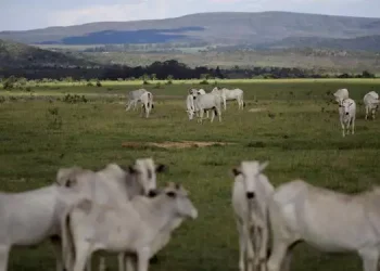 Foto: Uesley Marcelino/Reuters